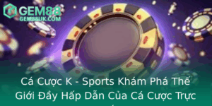 Ca Cuoc K Sports Kham Pha The Gioi Ay Hap Dan Cua Ca Cuoc Truc Tuyen