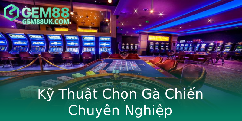 Kỹ Thuật Chọn Gà Chiến Chuyên Nghiệp Kỹ Thuật Chọn Gà Chiến Chuyên Nghiệp