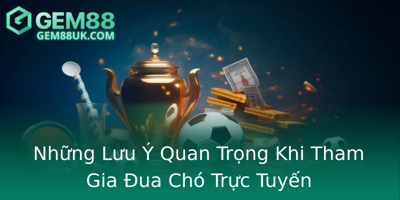 Những Lưu Ý Quan Trọng Khi Tham Gia Đua Chó Trực Tuyến Những Lưu Ý Quan Trọng Khi Tham Gia Đua Chó Trực Tuyến